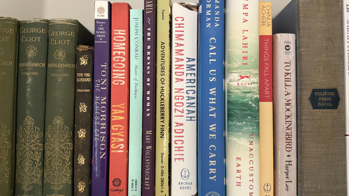 a collection of books containing the English literature canonical text and contemporary post-colonial texts